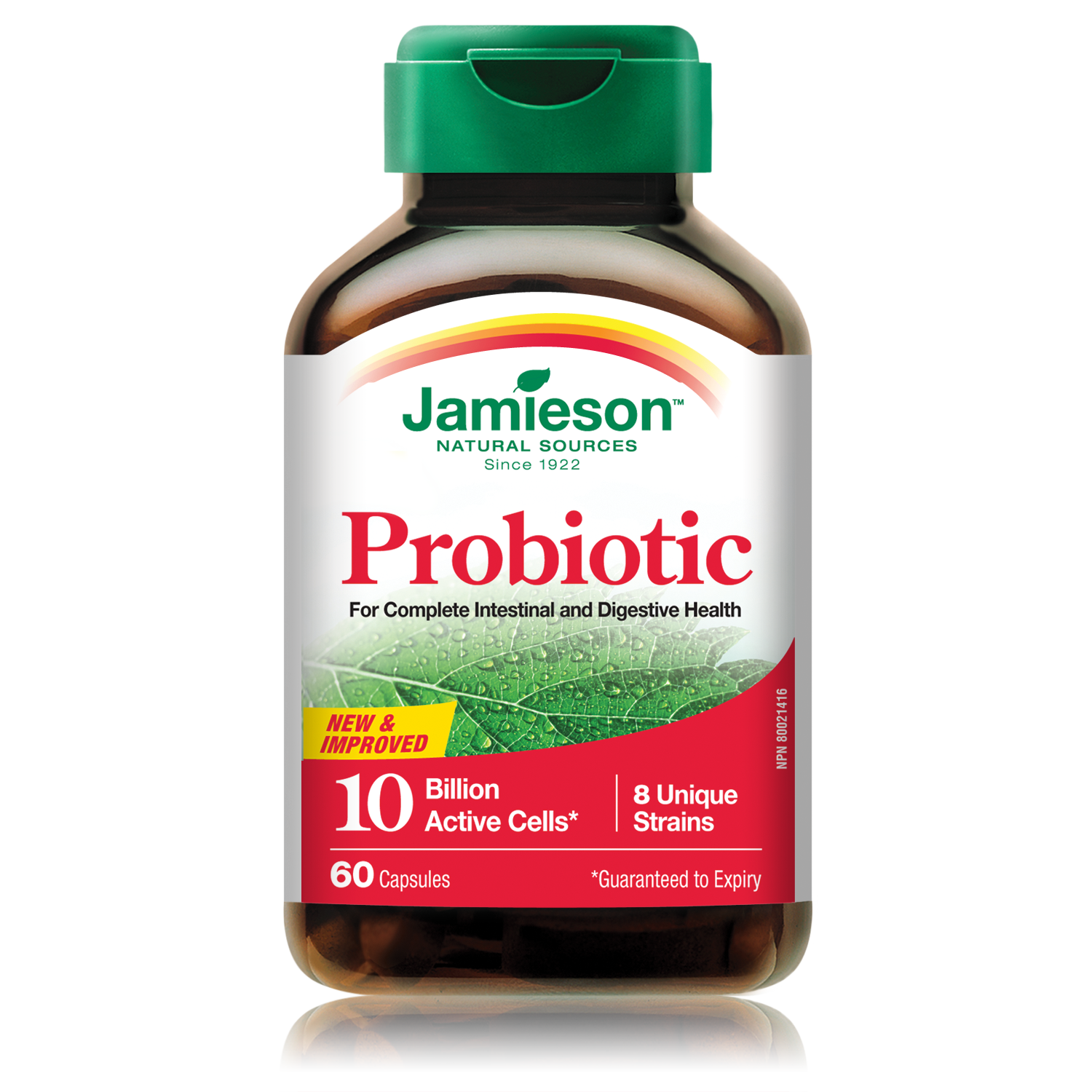 Probiotic Benefits – Probiotic supplements for your immune system